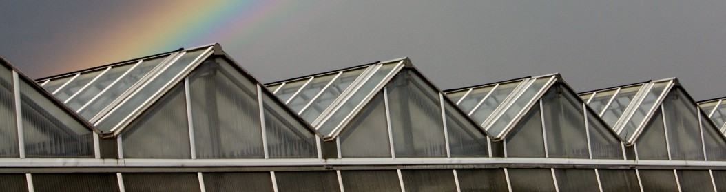 Van Wingerden Greenhouse